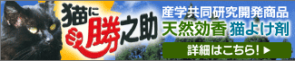 L悯 LɏV